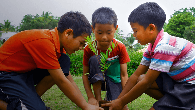 Community & Environmental Sustainability
